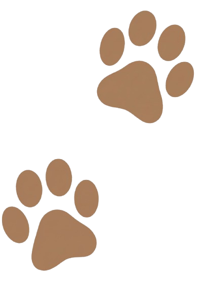 EVERY PET IS AN INDIVIDUAL