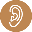 Ear Checks