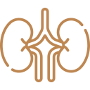 Kidney Health